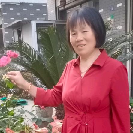 宸宸奶奶🌻