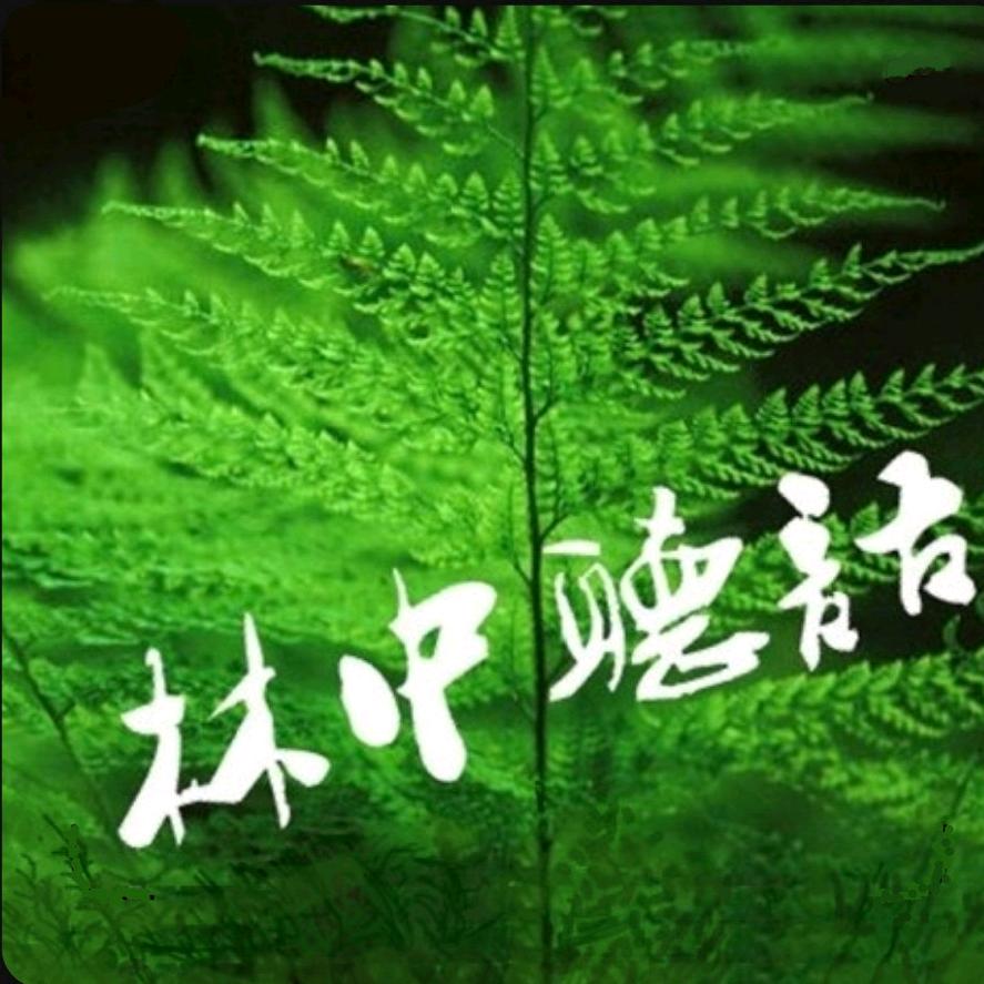 林中听语
