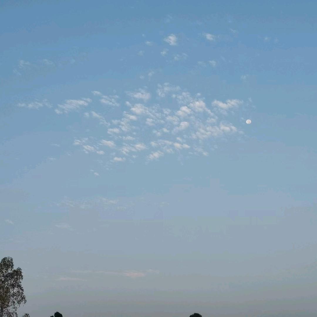 搬砖叔叔最迷人