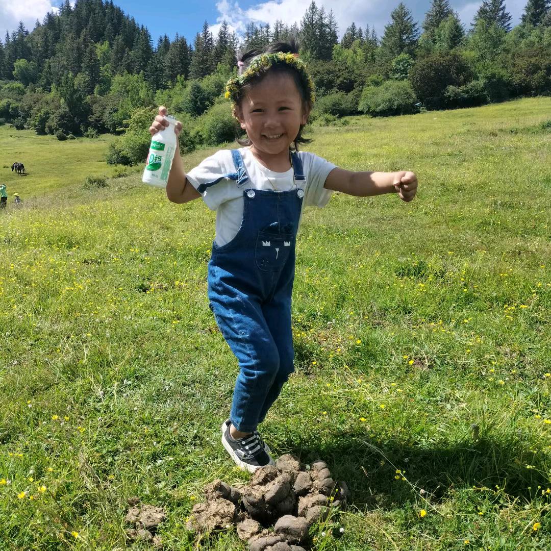 斯嘉依！向导，泽郎根，