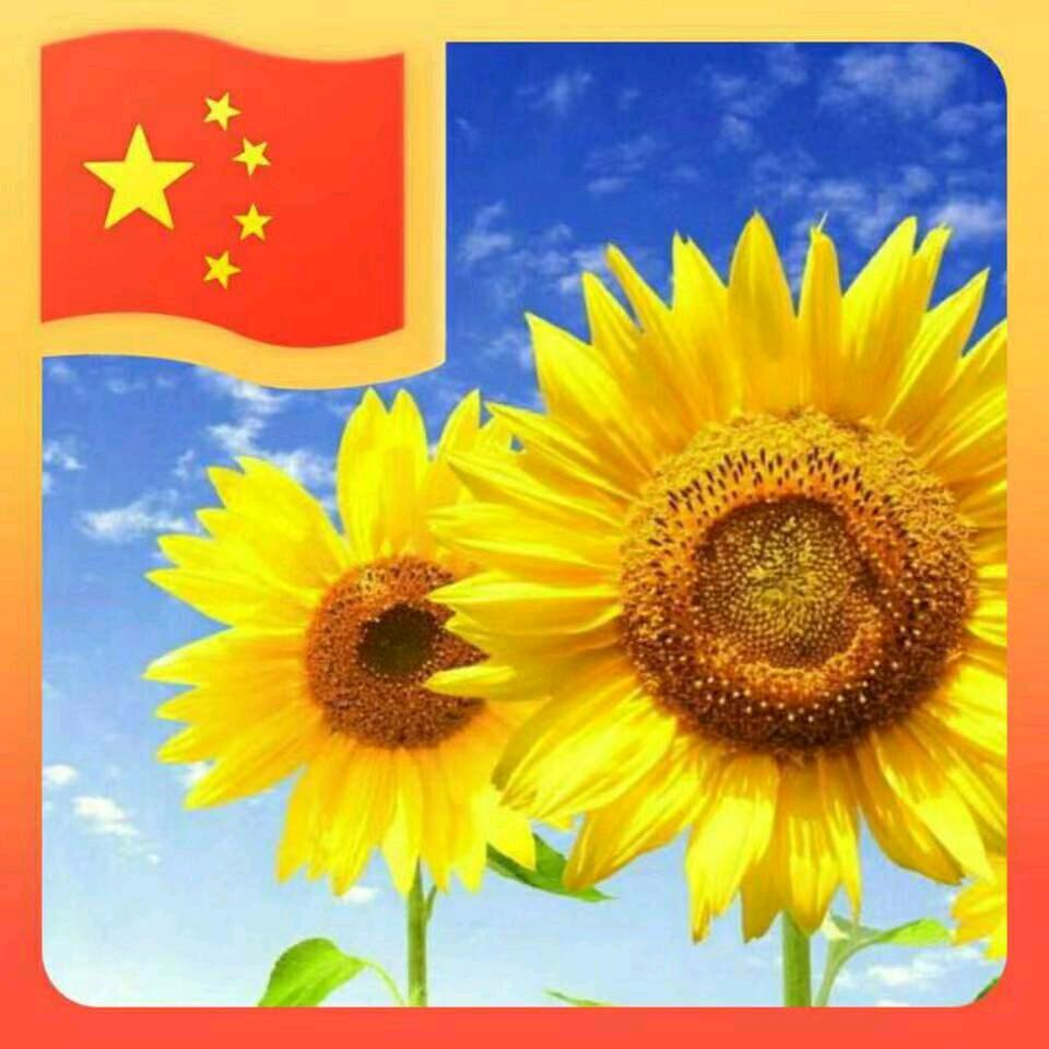 雨中的彩虹