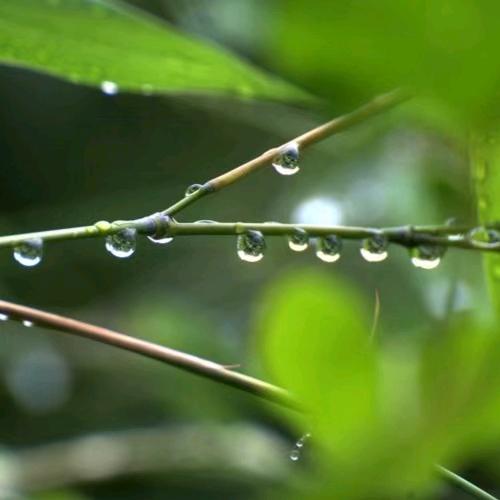 学海无涯