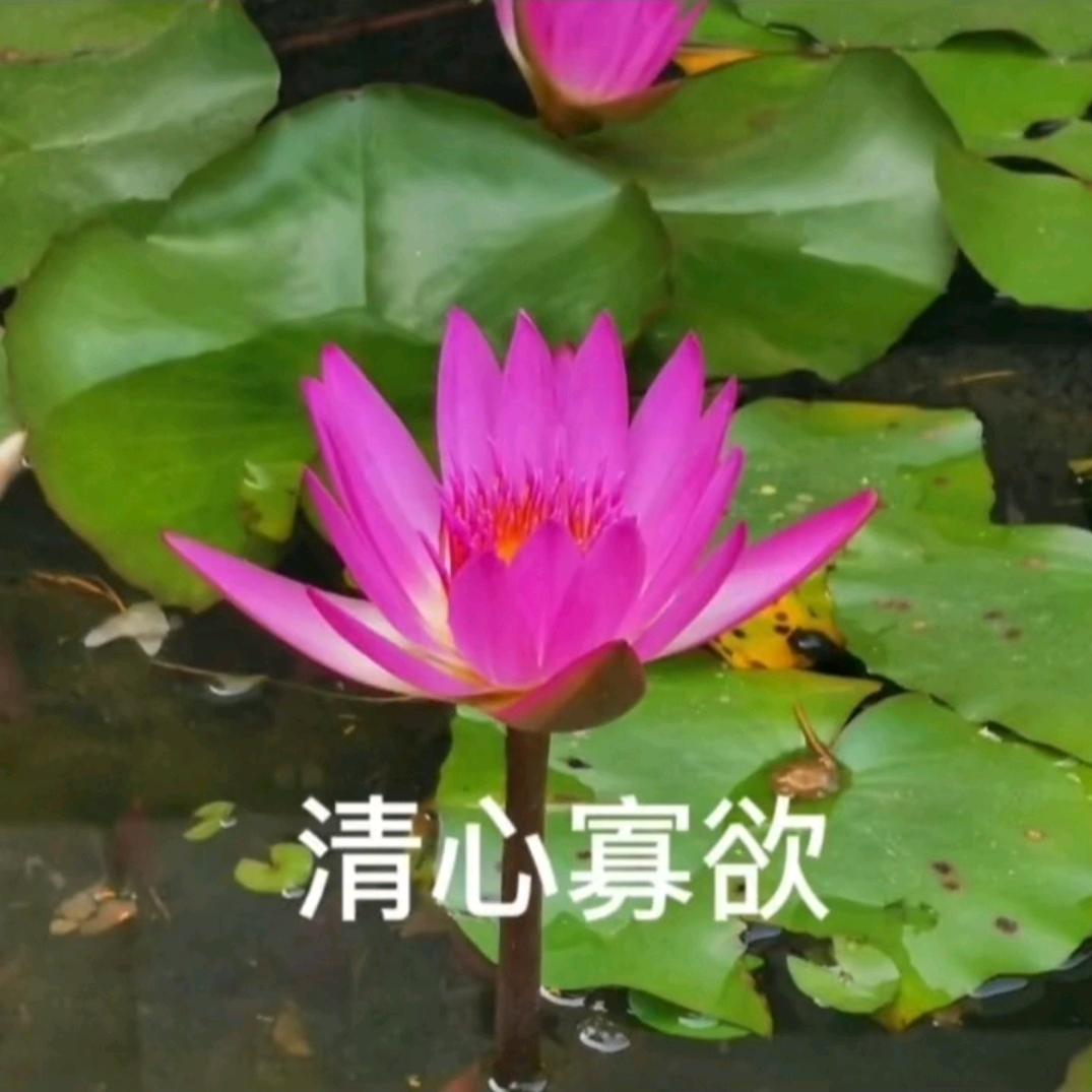 知足常乐~
