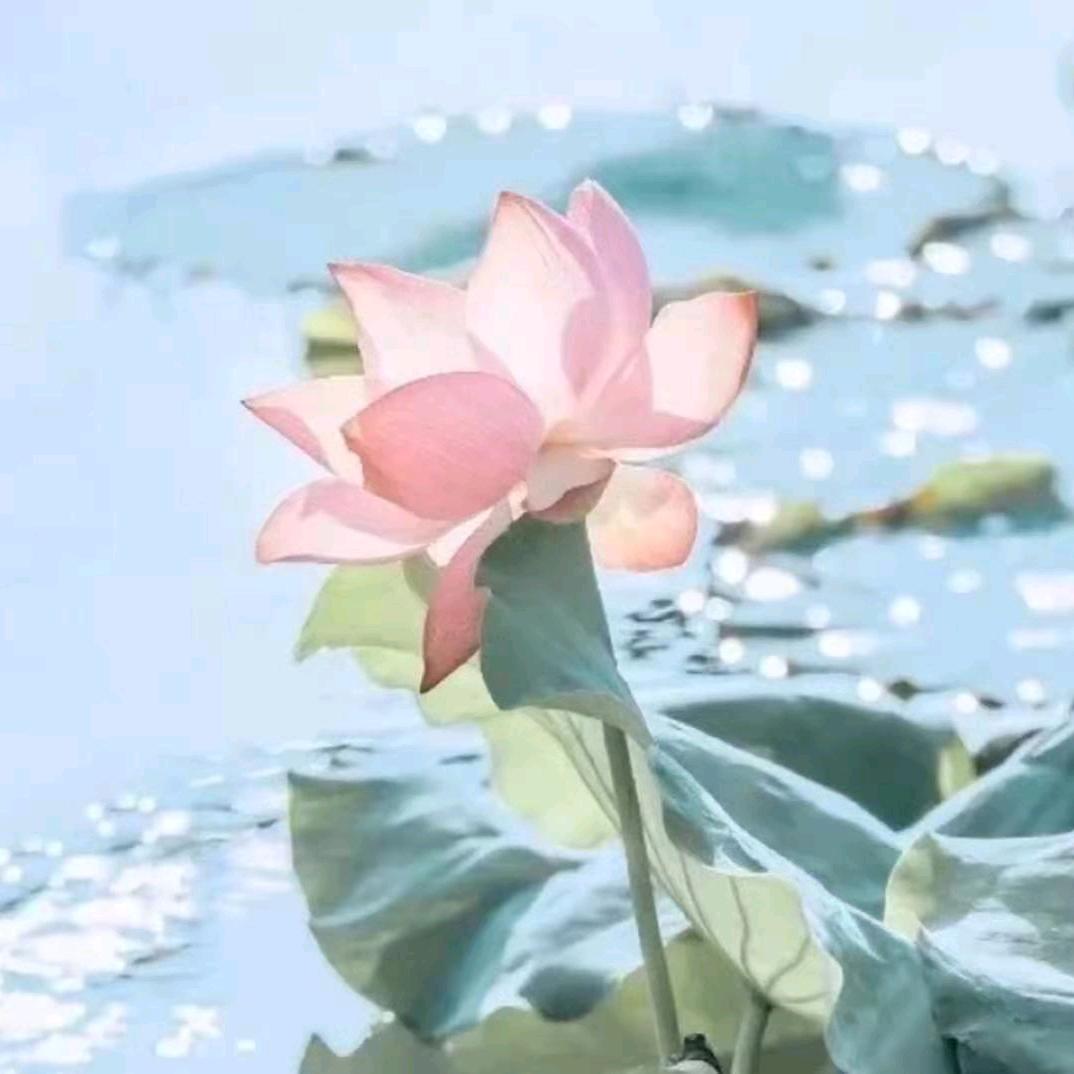 小五姐（87年的兔）🍎🍓