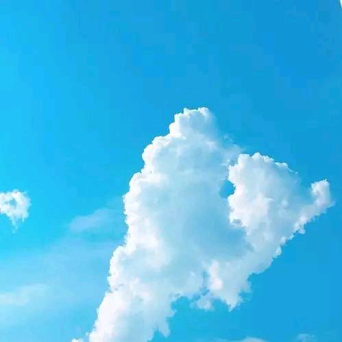 軍