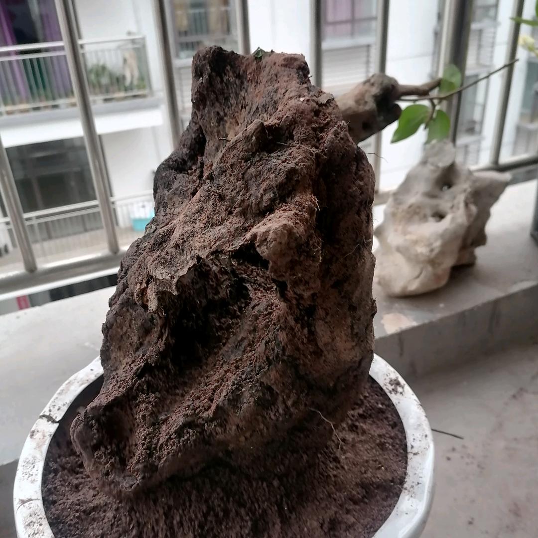 阳光