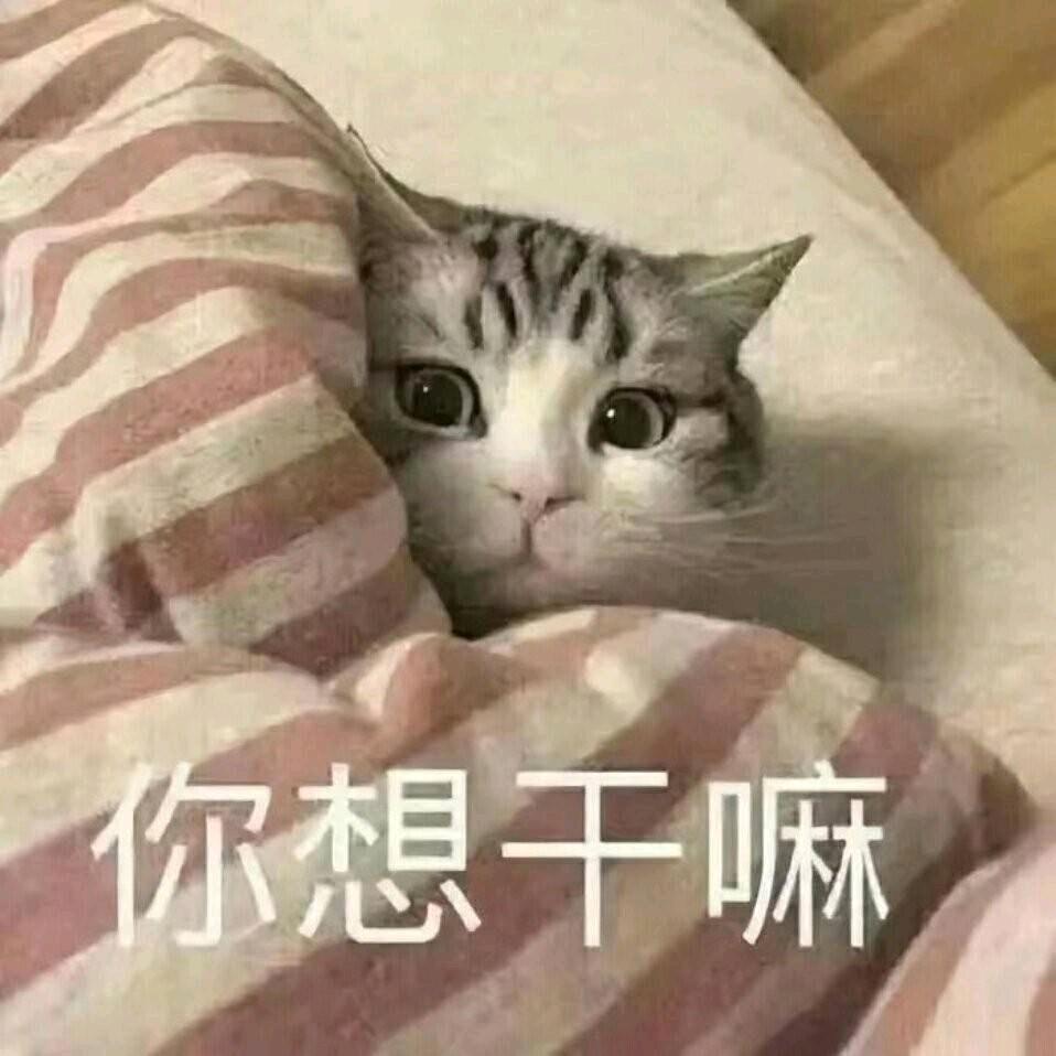 竹子靡荼