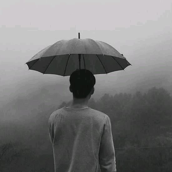男神归来
