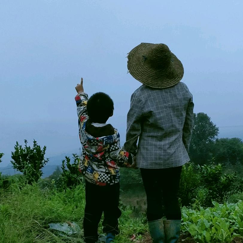 龙花花