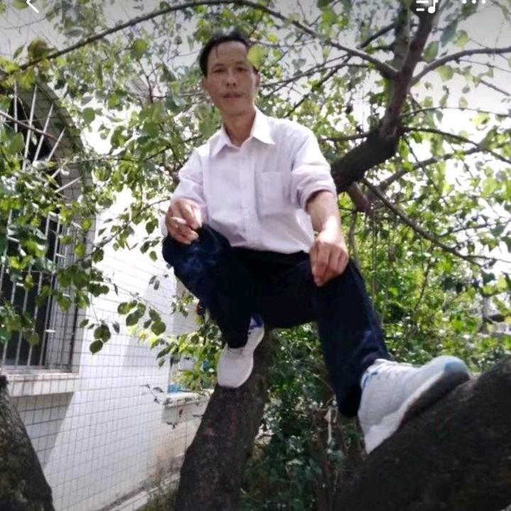 人在江湖飘（陶哥）