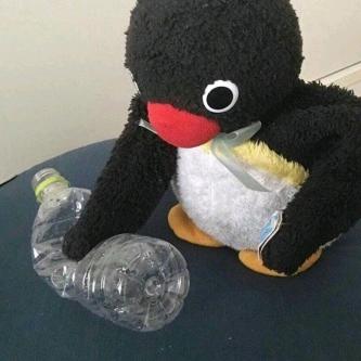 爱吃可乐鸡翅的指挥官