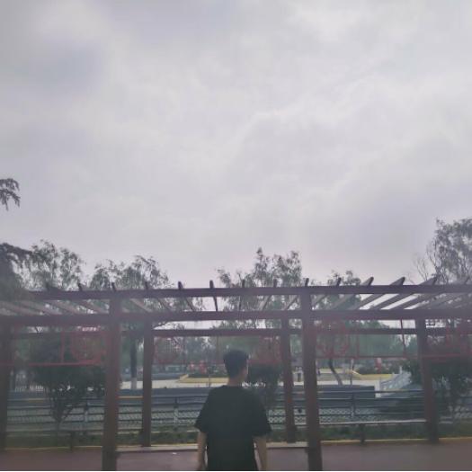 慧