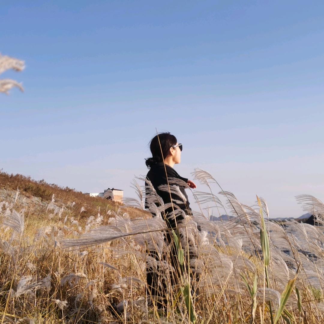 庭院深深