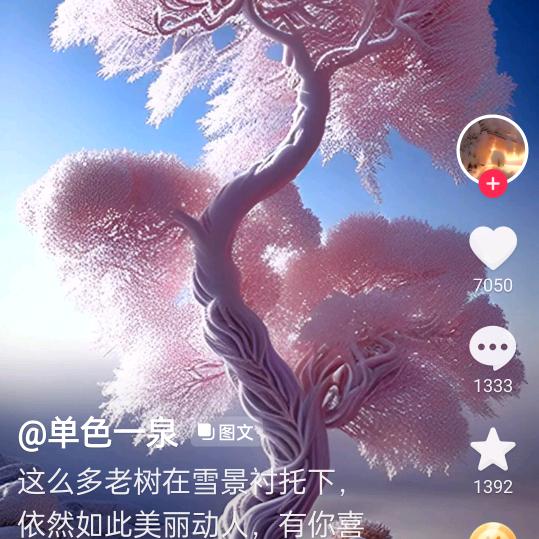 五妹