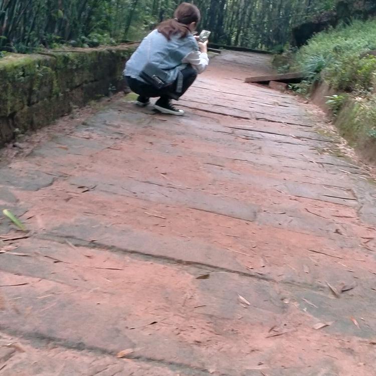龙波