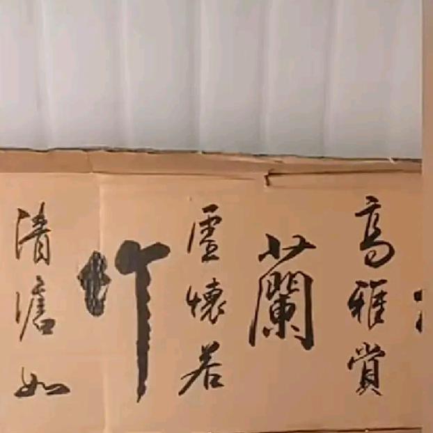 赢哥