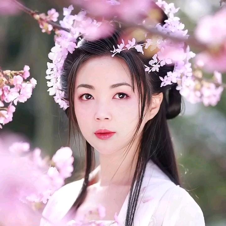 🌷🌷🌷好运来🌷🌷🌷