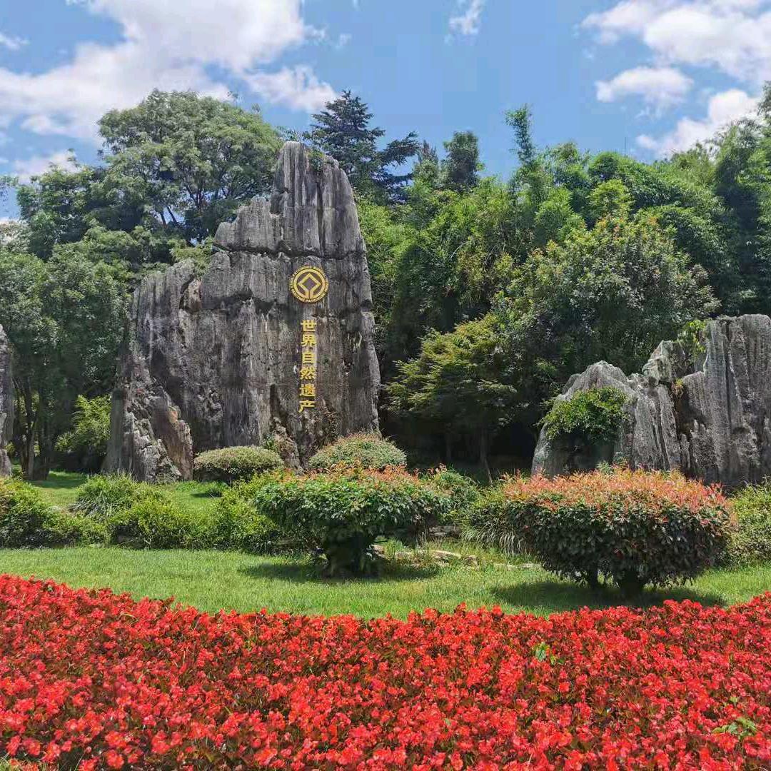 红辣椒