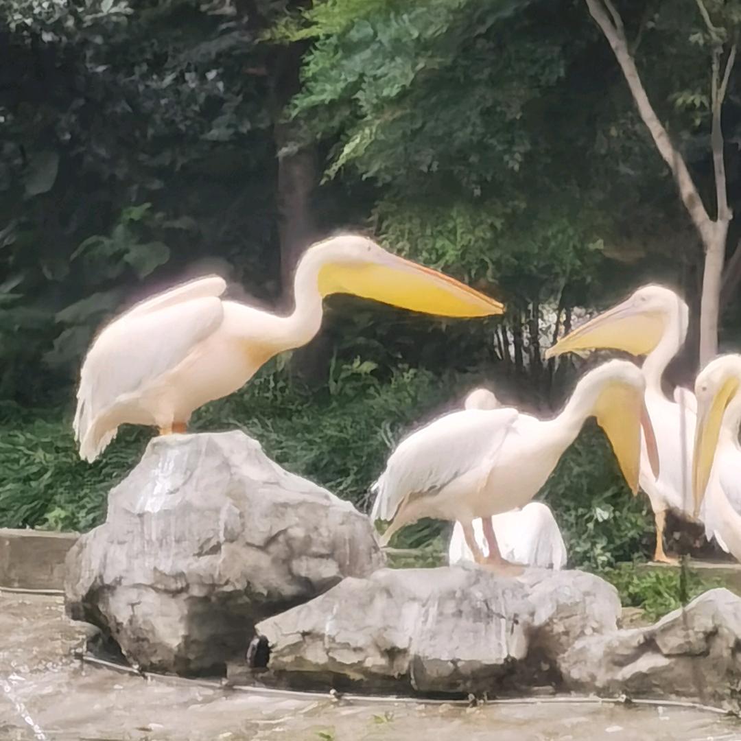 <$ÿĀ>大自在<$ÿĀ>