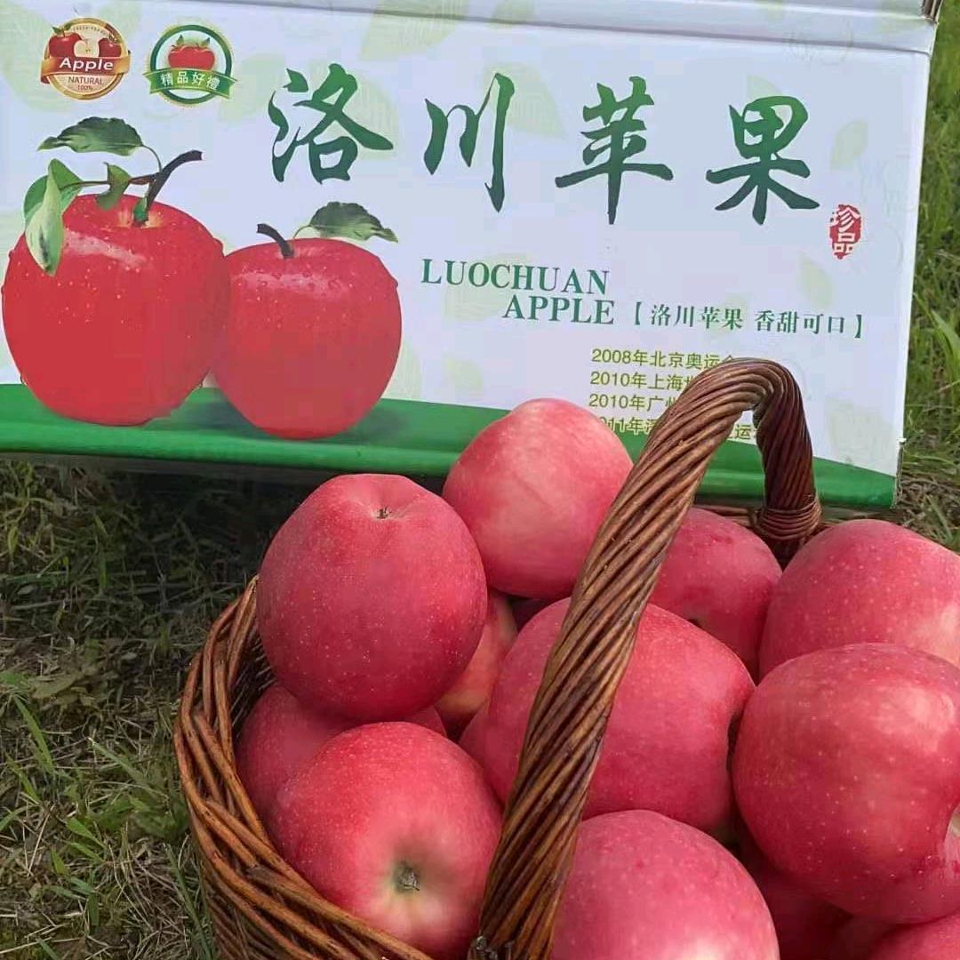 洛川如丰果业，产地直销，