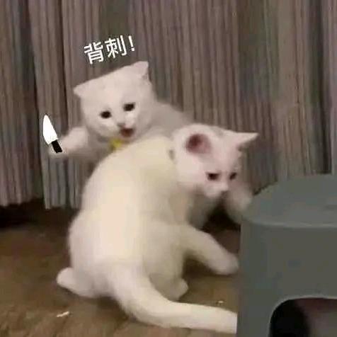 小熊🧸
