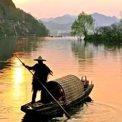 龙的传人