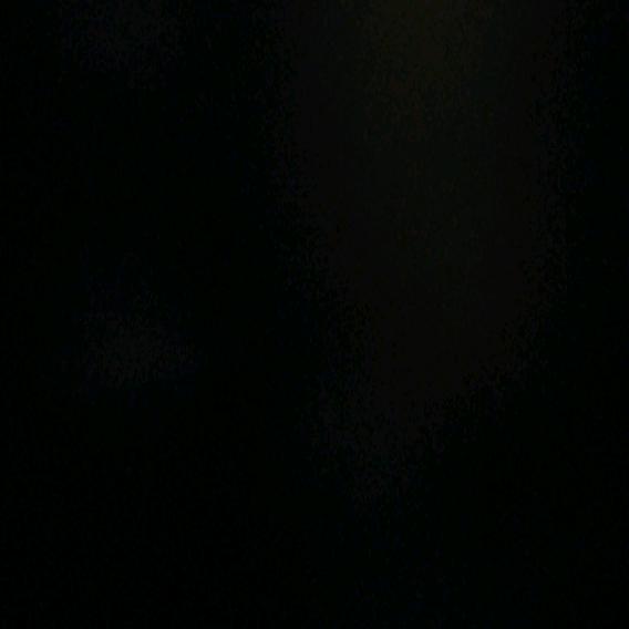 用户9646541648