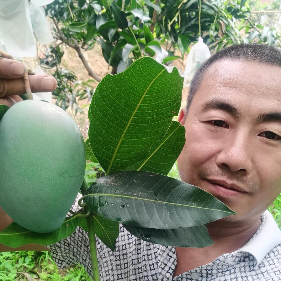 花城鲜生