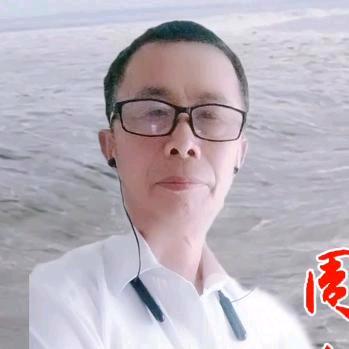 金龙a