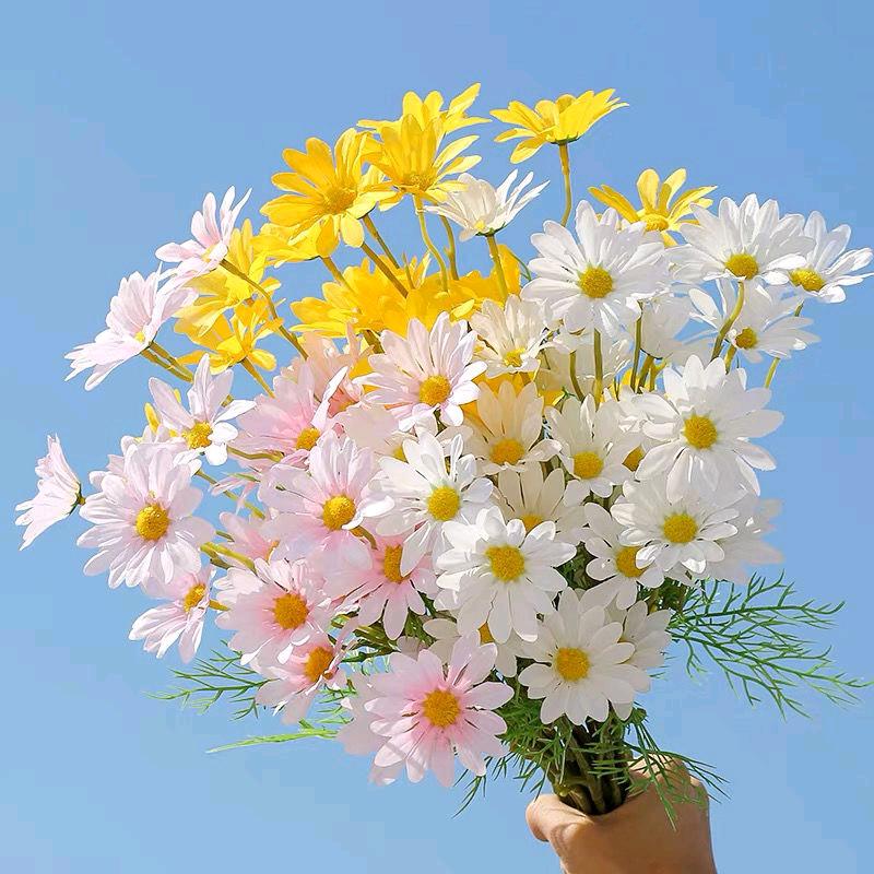 蜂蜜黑膏
