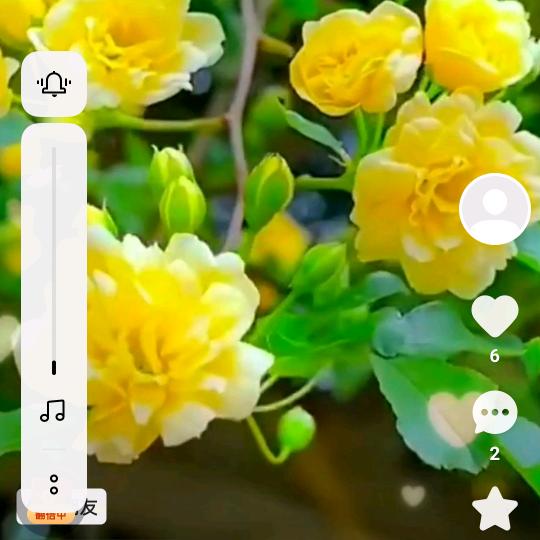 花🌹花