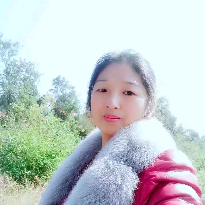 用户小燕子