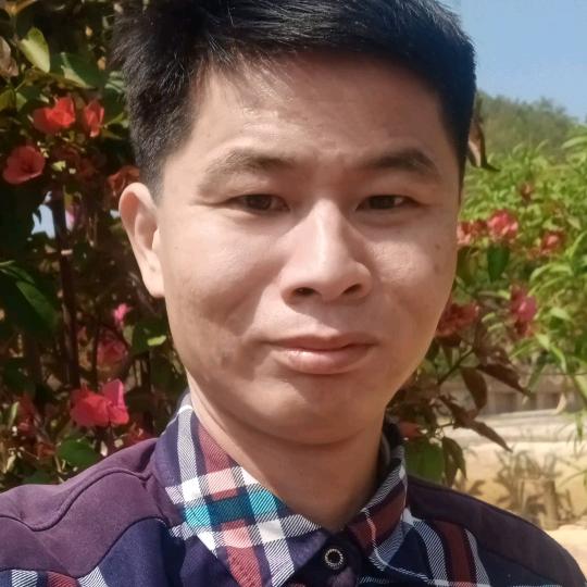 杨群