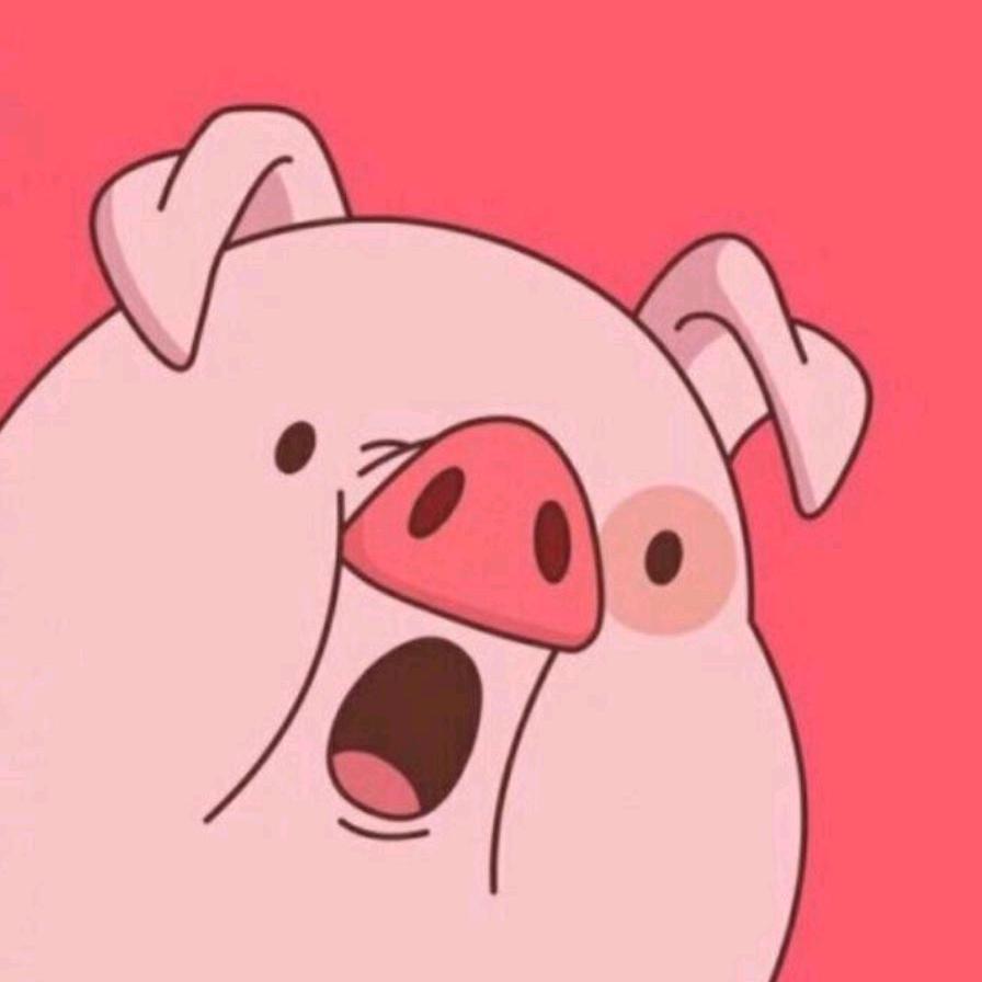 猪🐷