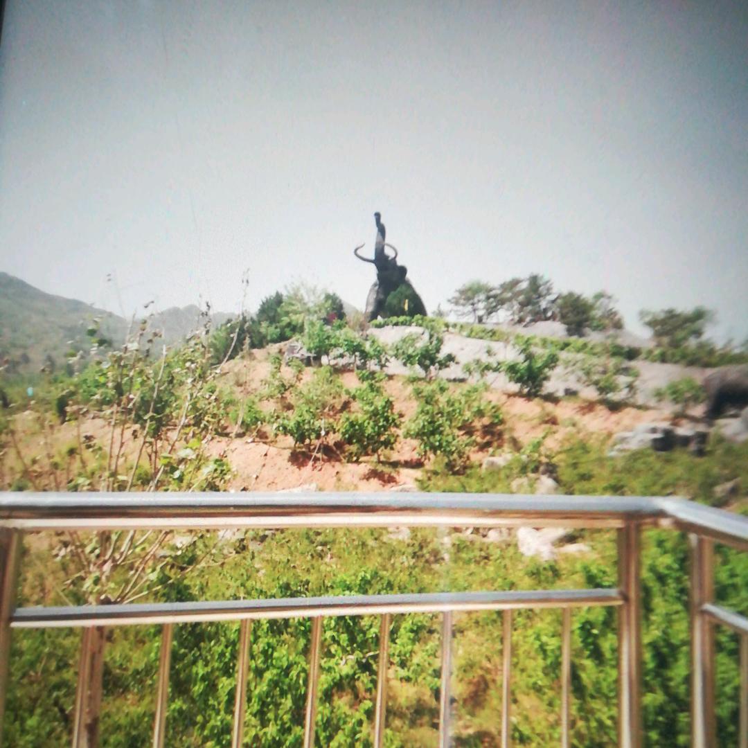 王树岐