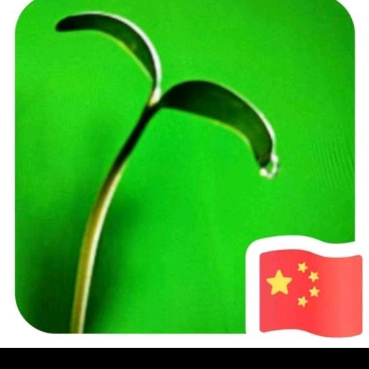 💋平凡❤手工折纸