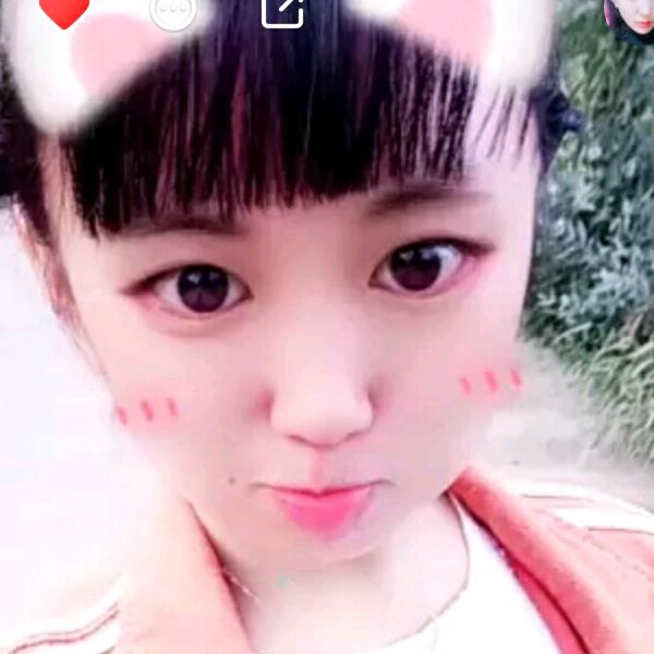 紫辰