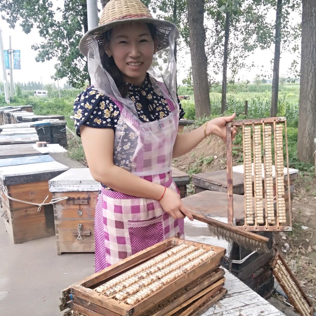 养蜂人燕姐