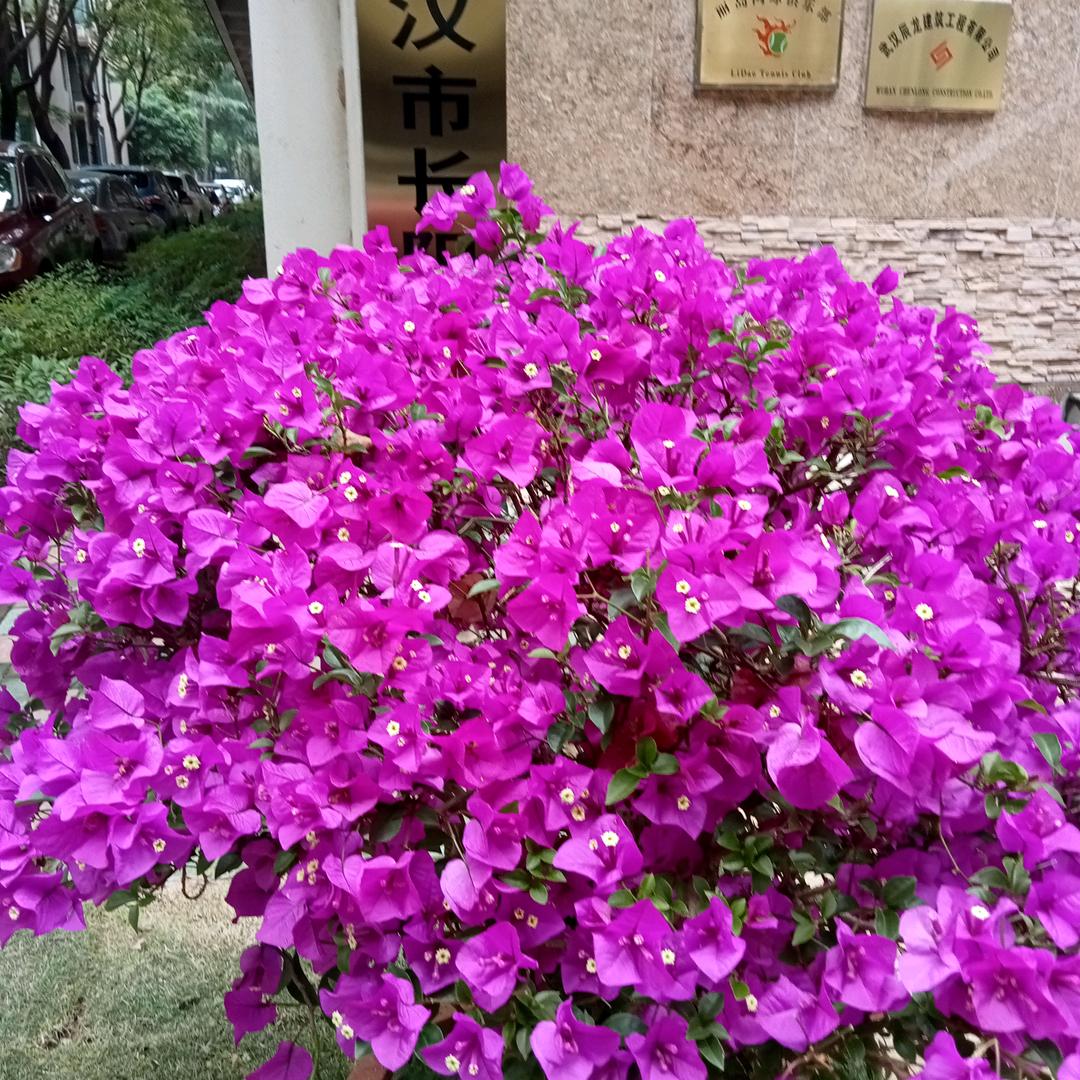 已重置