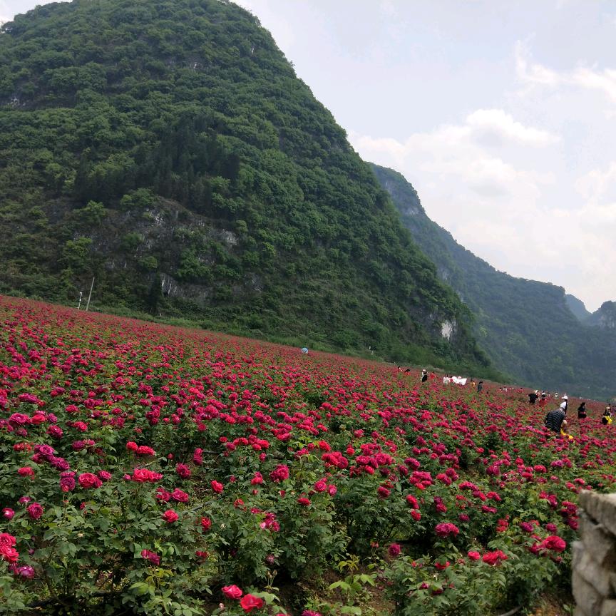 顺其自然，小程