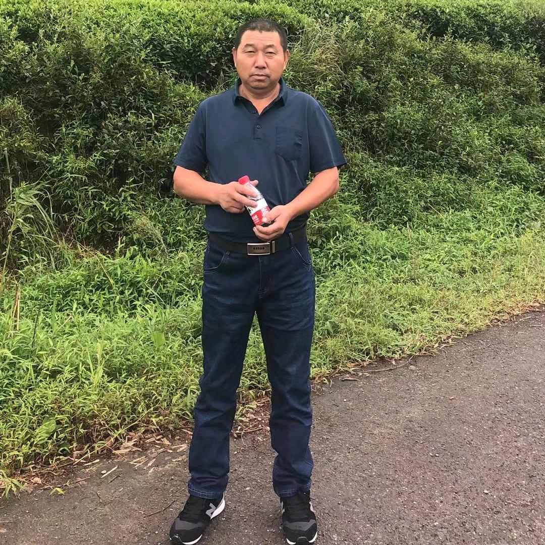 阳光城主