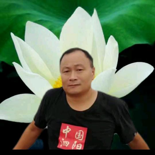泗阳王导《宣传策划》