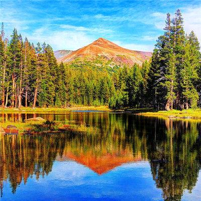 滴水之恩🌴🌴🌊