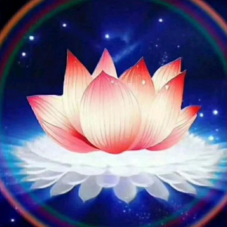 雨过天晴自由飞翔