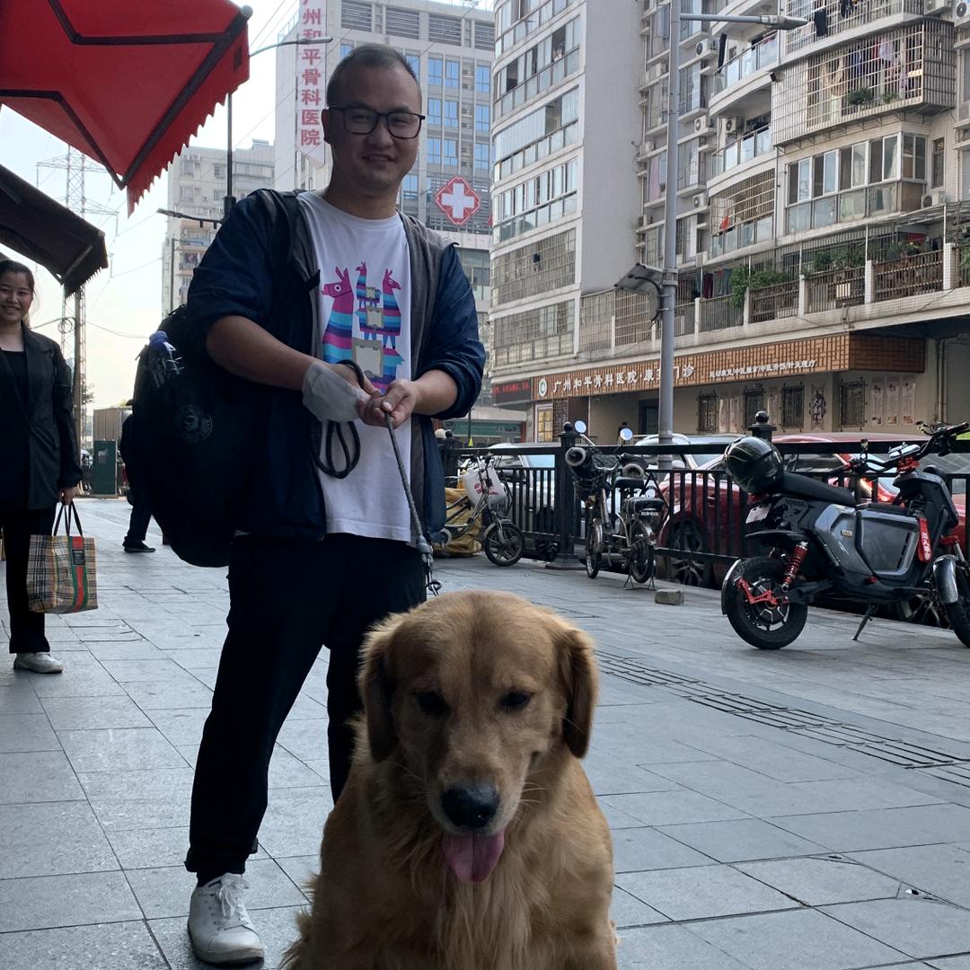 北极熊