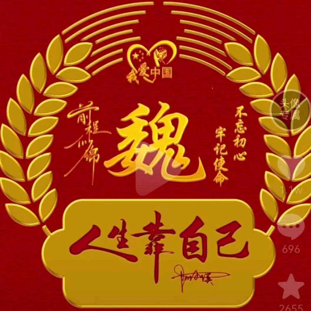 魏你而来