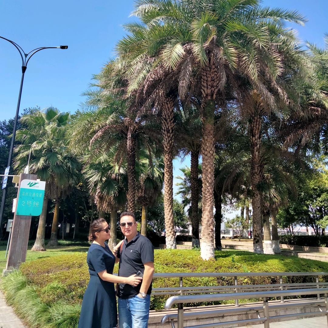 艾安娜国际进出口贸易公司叶总