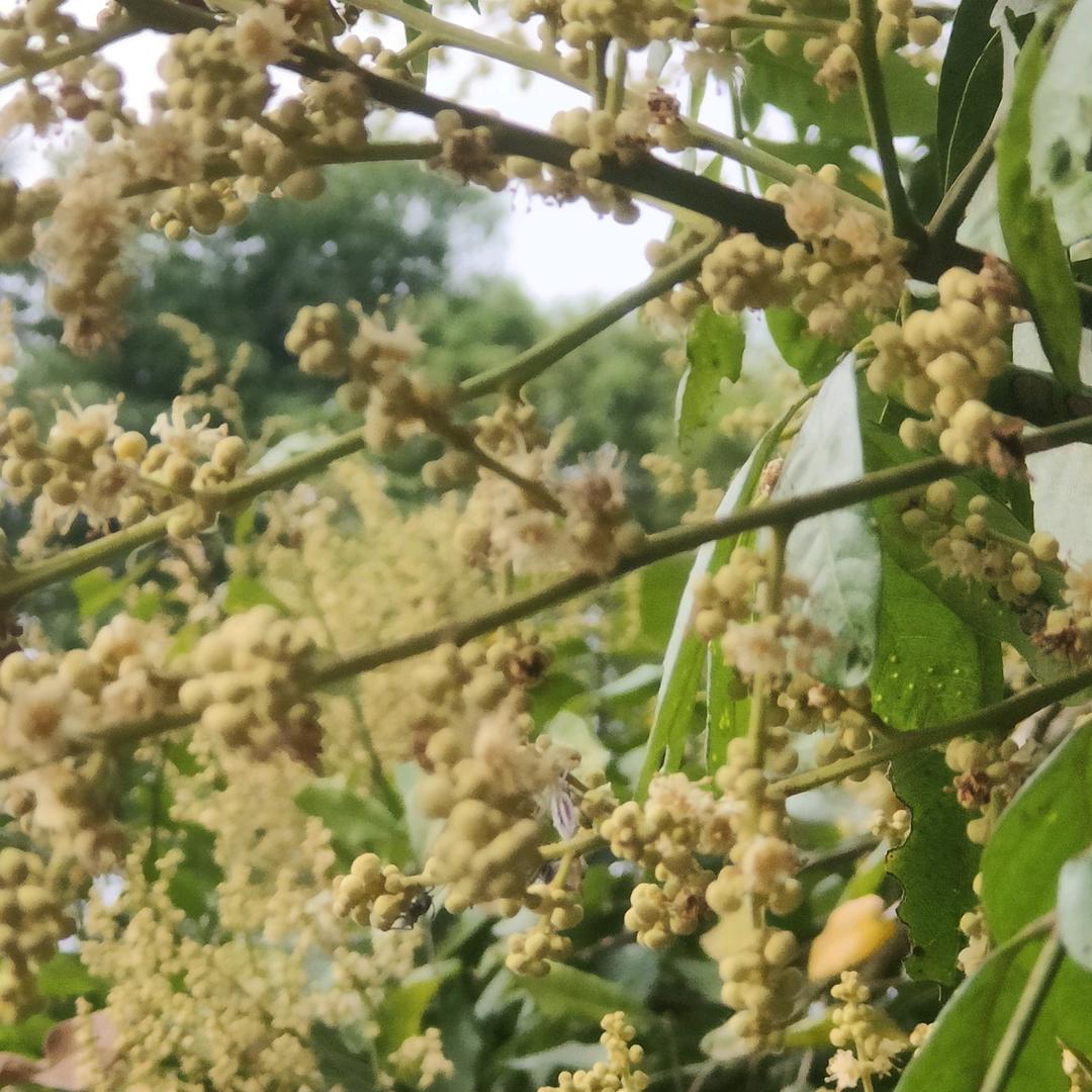 一路，步步惊心