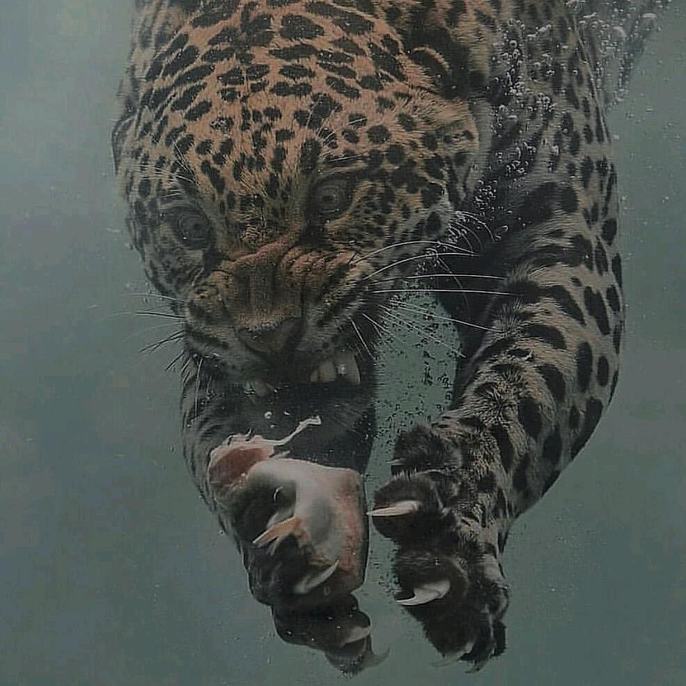 ？