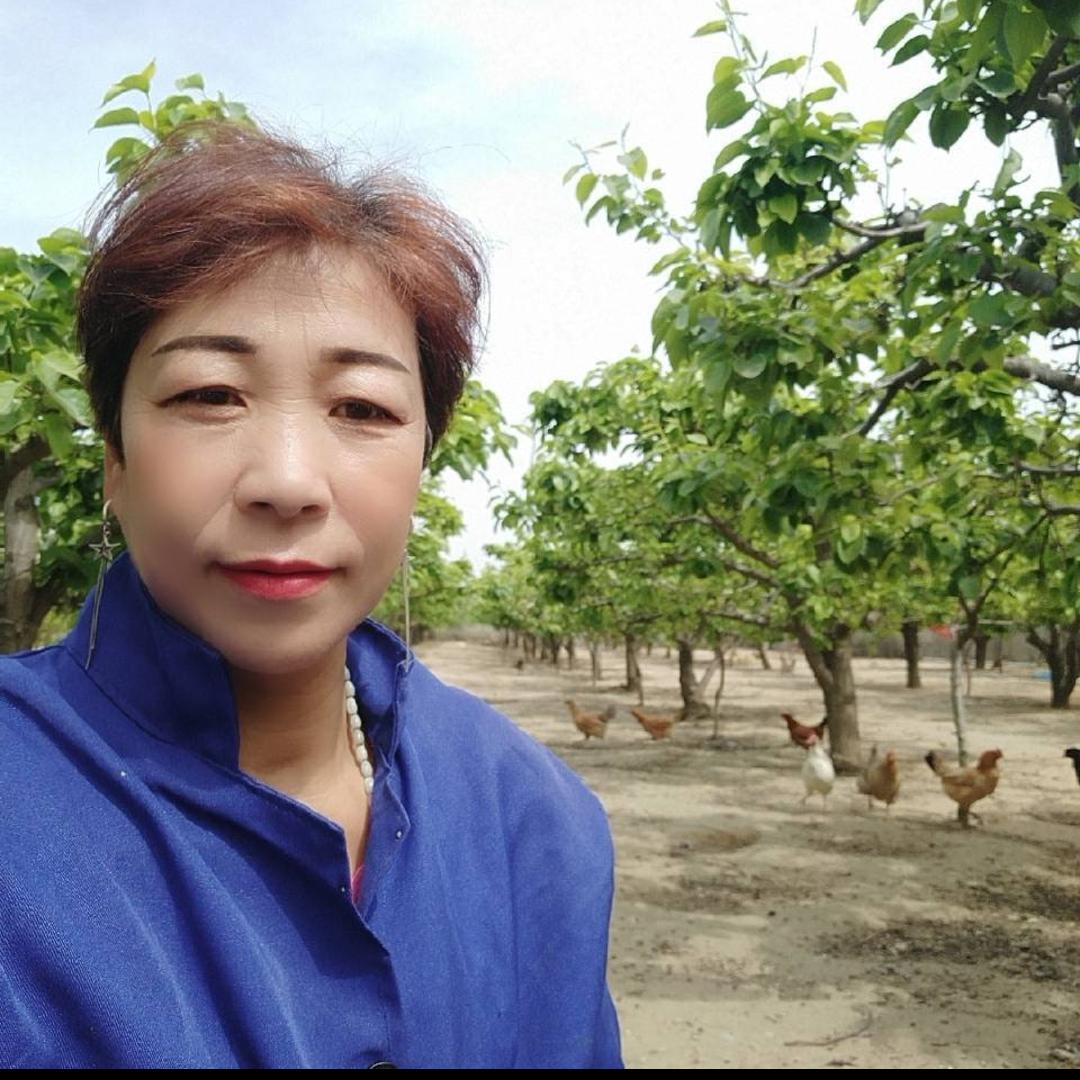 世外桃园鸡蛋姐，
